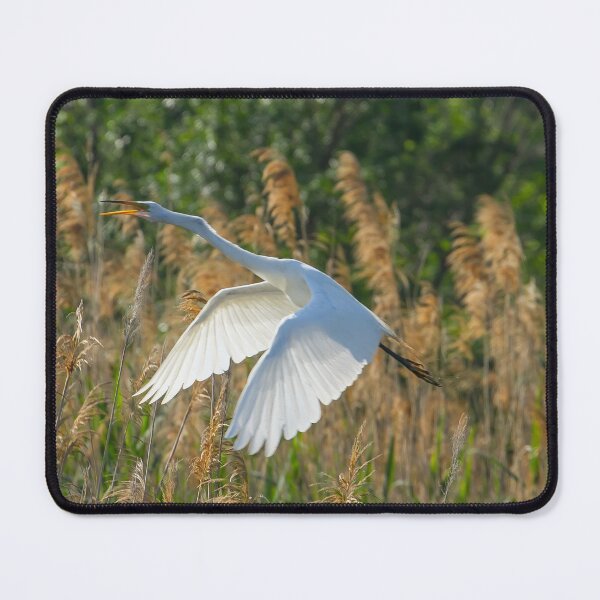 Item preview, Egret Taking Off designed and sold by PaulKPhoto.