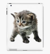 Pet iPad Case/Skin