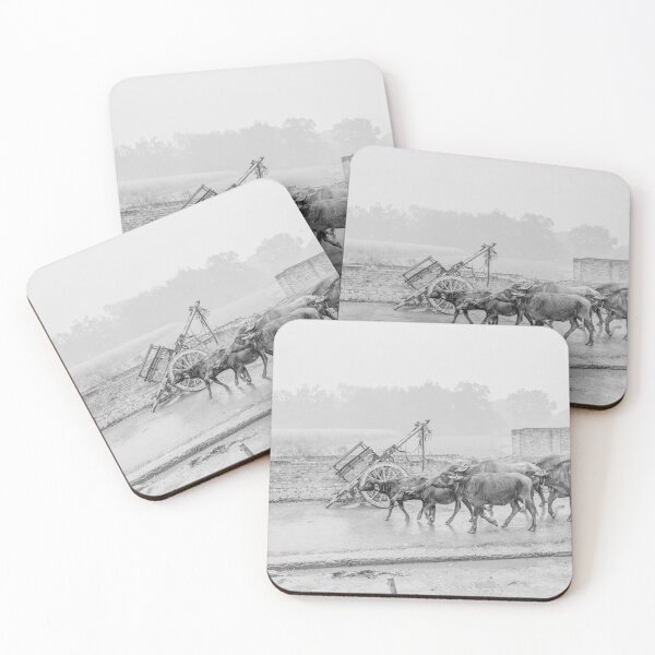 Item preview, Buffalos Marching in Rural Uttar Pradesh, India - Black & White designed and sold by ywphotos.