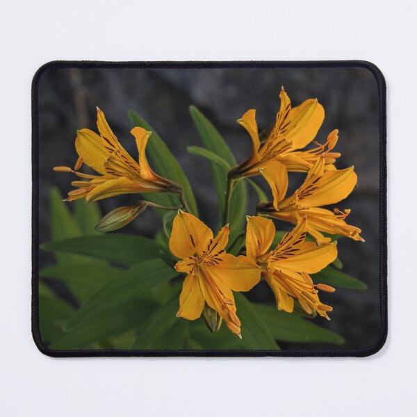 Item preview, Yellow flowers in spring designed and sold by Vanina Isola.