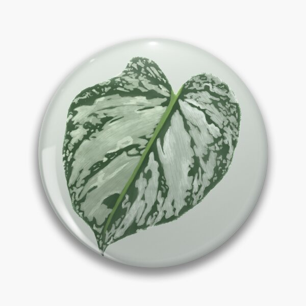 Item preview, Philodendron brandtianum leaf--tropical houseplant designed and sold by neatchicdesigns.