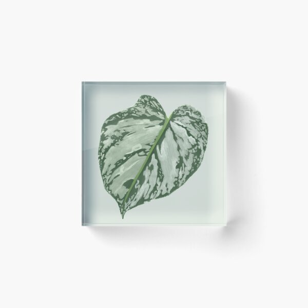 Item preview, Philodendron brandtianum leaf--tropical houseplant designed and sold by neatchicdesigns.