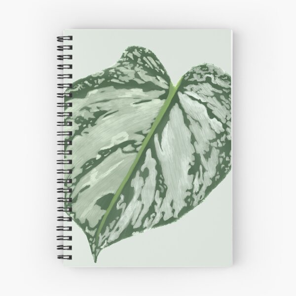 Item preview, Philodendron brandtianum leaf--tropical houseplant designed and sold by neatchicdesigns.