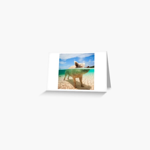 Artikel-Vorschau von Strandschwein, designt und verkauft von MorningFive.