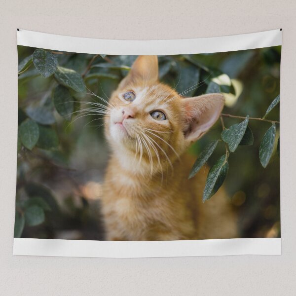 Item preview, orange Kitten designed and sold by spacecharly.