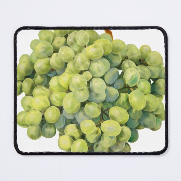 Item preview, Green grapes illustration designed and sold by Hamish Davies.