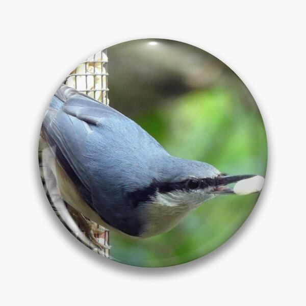 Item preview, nuthatch designed and sold by KathleenDawson.