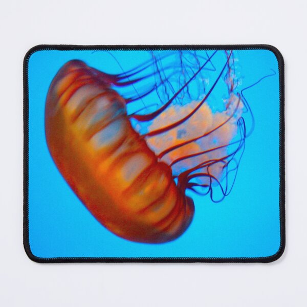 Item preview, A Jellyfish I met in Monterey designed and sold by hugabro.