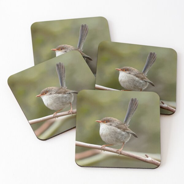 Item preview, Female Superb Fairy Wren designed and sold by David  Hibberd.