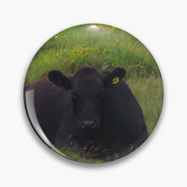 Item preview, Black Dartmoor Cow designed and sold by lezvee.
