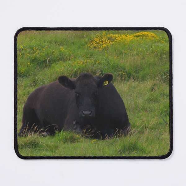 Item preview, Black Dartmoor Cow designed and sold by lezvee.