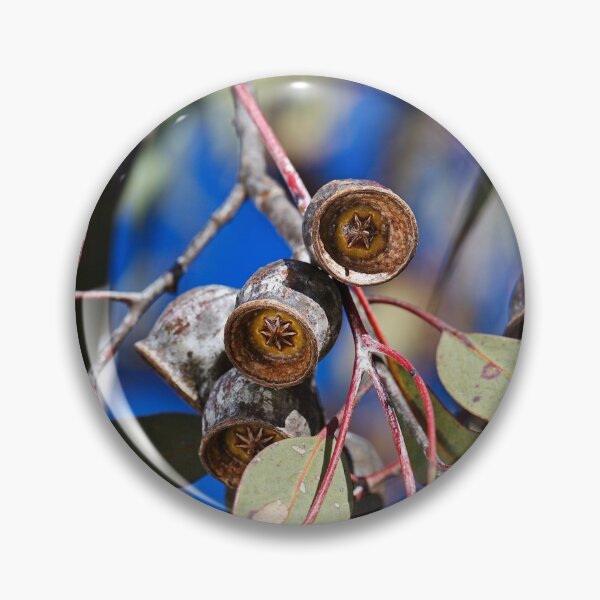 Item preview, Always Rustic With Gumnuts designed and sold by Joy Watson - Natural Light Photography .