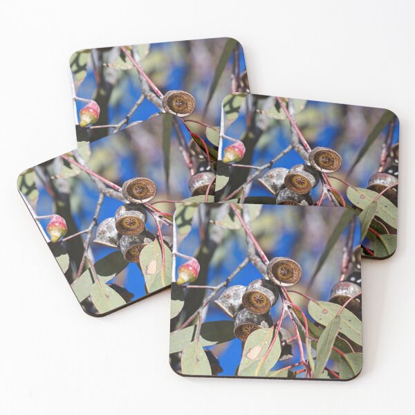 Item preview, Always Rustic With Gumnuts designed and sold by Joy Watson - Natural Light Photography .