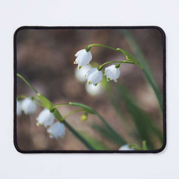 Item preview, Snowdrops Flower In Groups designed and sold by Joy Watson - Natural Light Photography .