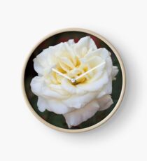 White Rose Clock