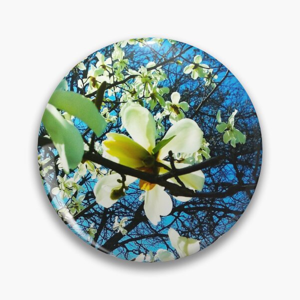 Item preview, White magnolia tree in blossom, natural background, spring season  designed and sold by helenkaiy.