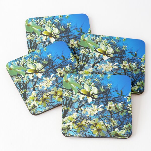 Item preview, White magnolia tree in blossom, natural background, spring season  designed and sold by helenkaiy.