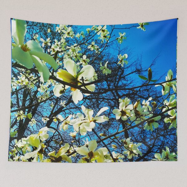 Item preview, White magnolia tree in blossom, natural background, spring season  designed and sold by helenkaiy.