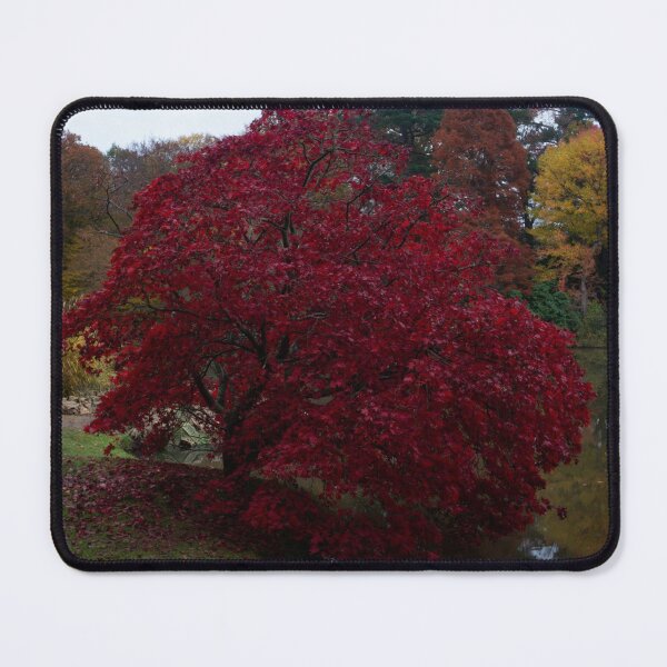 Item preview, Autumn Acer. designed and sold by GingerMan2550.