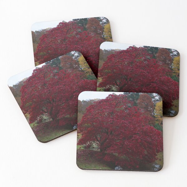 Item preview, Autumn Acer. designed and sold by GingerMan2550.