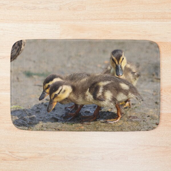 Item preview, Trio of ducklings designed and sold by GreyFeatherPhot.