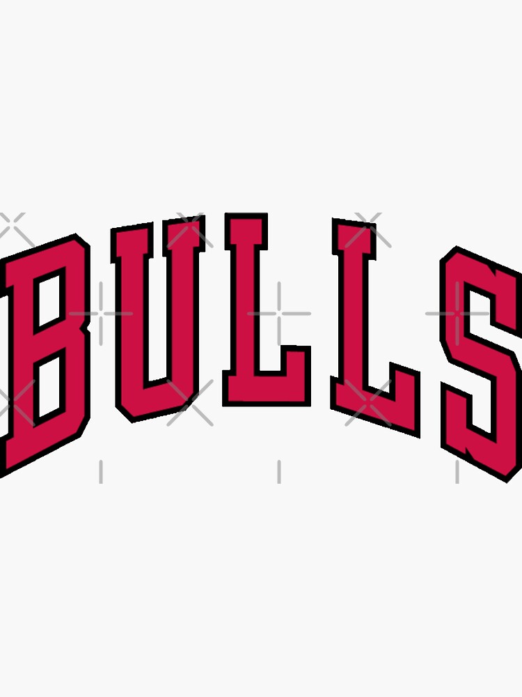 bulls logo 2022