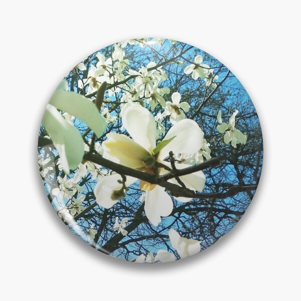 Item preview, White magnolia tree in blossom, natural background, spring season  designed and sold by helenkaiy.