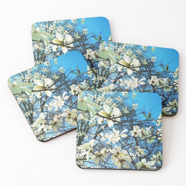 Item preview, White magnolia tree in blossom, natural background, spring season  designed and sold by helenkaiy.