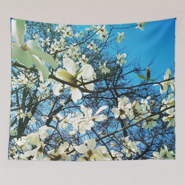 Item preview, White magnolia tree in blossom, natural background, spring season  designed and sold by helenkaiy.
