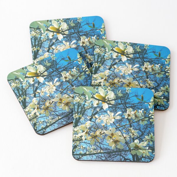 Item preview, White magnolia tree in blossom, natural background, spring season  designed and sold by helenkaiy.