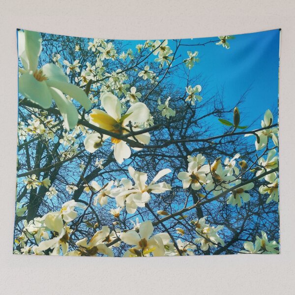 Item preview, White magnolia tree in blossom, natural background, spring season  designed and sold by helenkaiy.