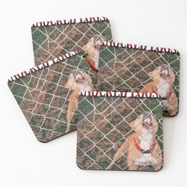 Item preview, Knocked loose band album designed and sold by CrystalJanedmn.