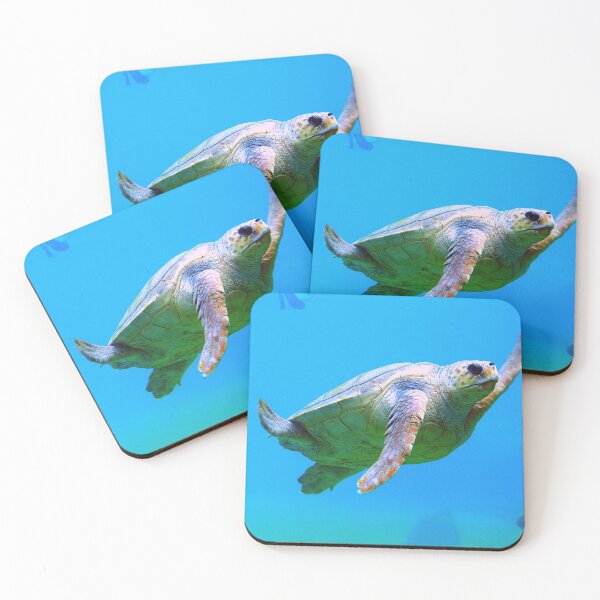 Item preview, turtle photo with high resolution quality designed and sold by Allyouneed-2.