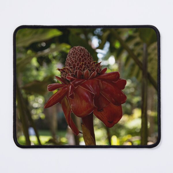 Item preview, Glossy Jewel in the Jungle - Red Torch Ginger Lily designed and sold by Georgia Mizuleva.
