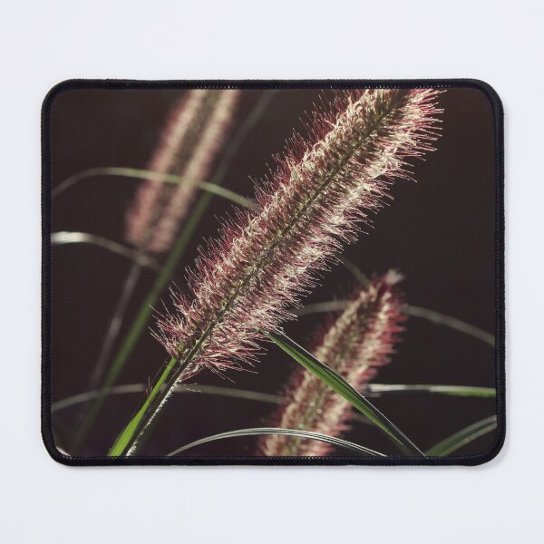 Item preview, Backlit Pennisetum, Fountain Grass designed and sold by Imladris01.
