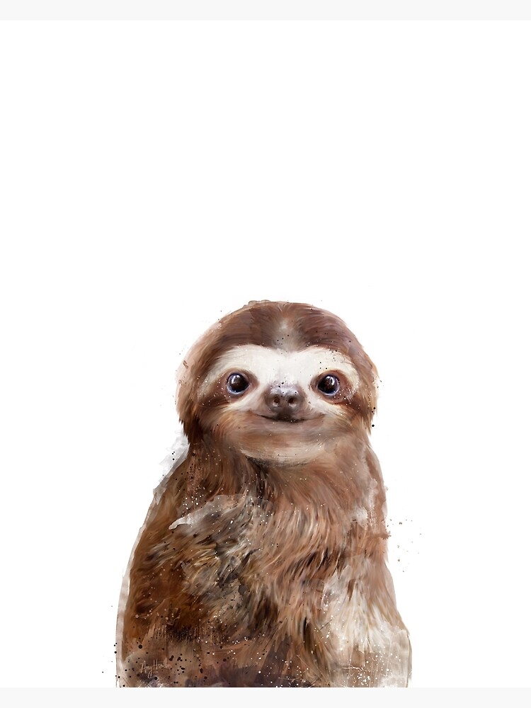 Little Sloth by AmyHamilton