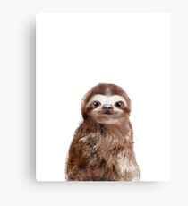 Little Sloth Canvas Print