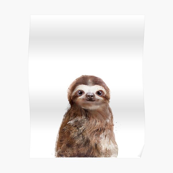 Little Sloth Poster