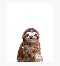 Lámina fotográfica Little Sloth