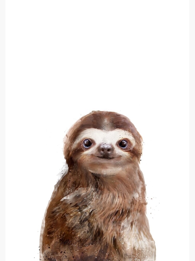 Little Sloth by AmyHamilton