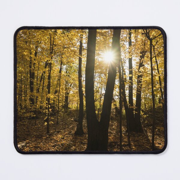 Item preview, Sunburst - an Autumn Walk in the Golden Forest designed and sold by Georgia Mizuleva.