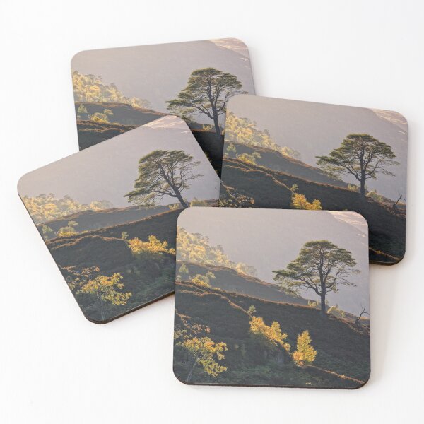 Item preview, Pine and Birch Trees in Autumn Glen Strathfarrar Scotland designed and sold by PhotosEcosse.