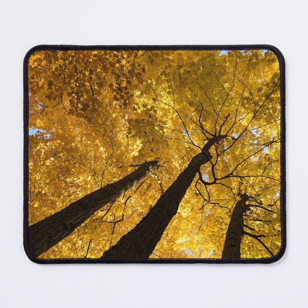 Item preview, Golden Canopy - Three Trees Vertical designed and sold by Georgia Mizuleva.