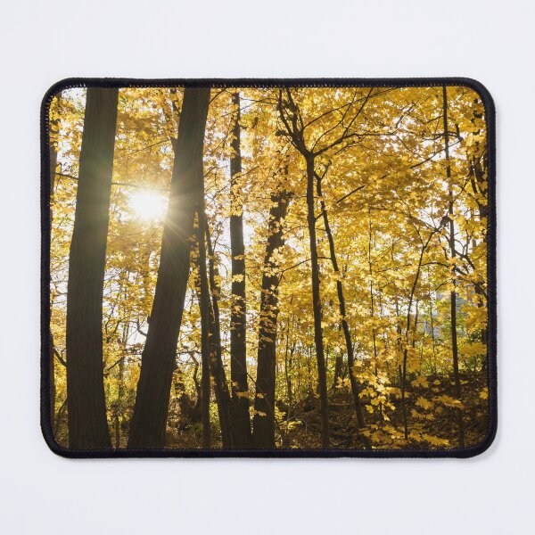 Item preview, Golden Forest Sunburst designed and sold by Georgia Mizuleva.