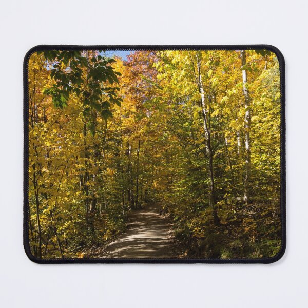 Item preview, Sun Dappled Autumn Path - Enjoying a Sunny Forest Walk designed and sold by Georgia Mizuleva.