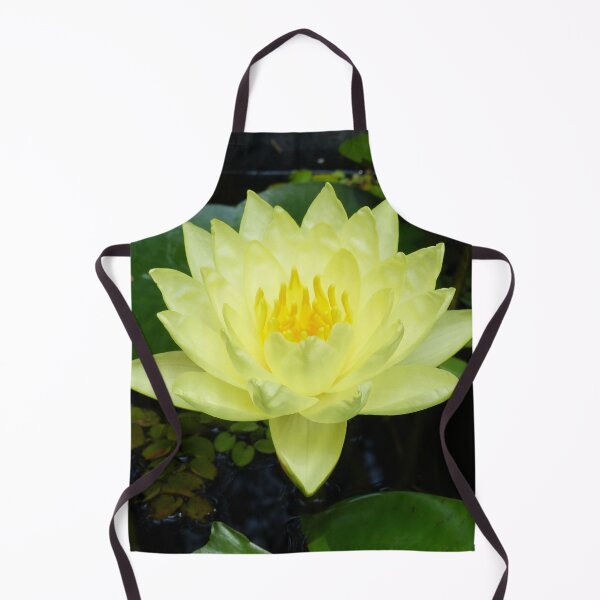 Item preview, Yellow Waterlily designed and sold by TropicalFronds.