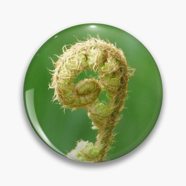 Item preview, Fern Unfurling designed and sold by Pebbles on the Beach.