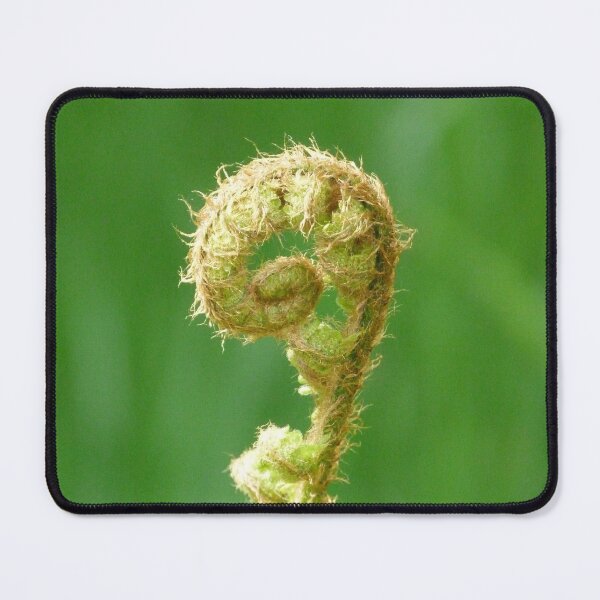 Item preview, Fern Unfurling designed and sold by Pebbles on the Beach.