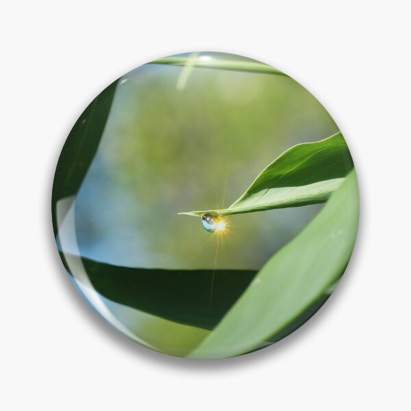 Item preview, Morning Sunshine Dew Drop on Bamboo designed and sold by TropicalFronds.