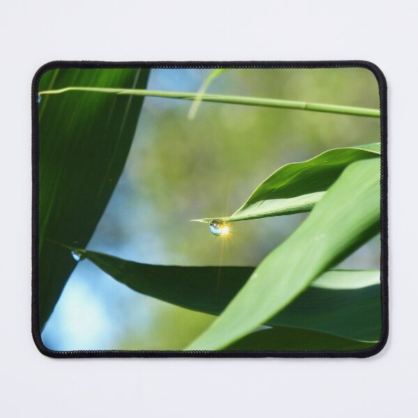 Item preview, Morning Sunshine Dew Drop on Bamboo designed and sold by TropicalFronds.